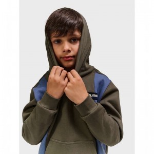 Hummel Allton Hoodie Barn Bruna | 730977-679