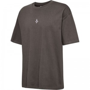 Hummel Astralis 24 Fan 2016 Loose Ss T-shirt Herr Choklad | 885490-653