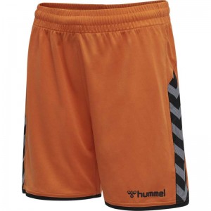 Hummel Authentic Poly Shorts Barn Orange | 871481-873