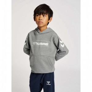Hummel Box Hoodie Barn Grå | 169769-269