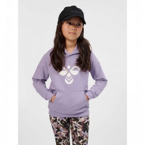 Hummel Cuatro Hoodie Barn Lavendel | 902702-132