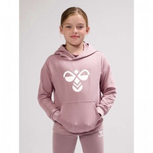 Hummel Cuatro Hoodie Barn Rosa | 166453-629