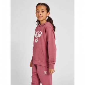 Hummel Cuatro Hoodie Barn Rosa | 641618-765