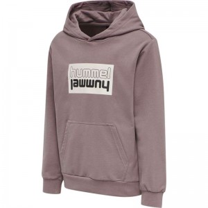 Hummel Duo Hoodie Barn Rosa | 809610-186