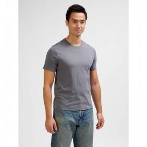 Hummel Elemental Chevron Cotton T-shirt Herr Grå | 492064-314