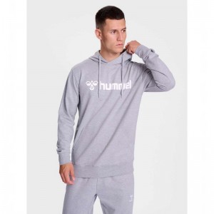 Hummel Go 2.0 Logo Hoodie Herr Grå | 338927-399