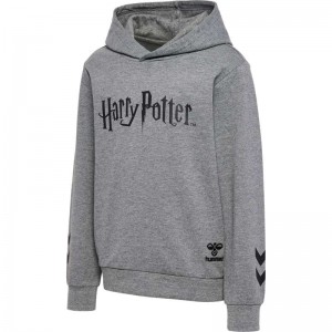 Hummel Harry Potter Hoodie Barn Grå | 414645-013