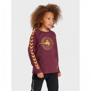 Hummel Harry Potter Ls T-shirt Barn Fuchsia | 995496-820