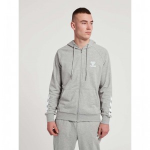 Hummel Isam 2.0 Zip Hoodie Herr Grå | 702159-691