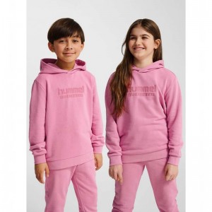 Hummel Jr Base Hoodie Barn Rosa | 547576-580