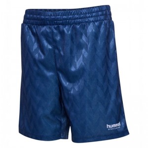Hummel Jr Fb Shorts Barn Blå | 527733-049