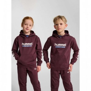 Hummel Jr Logo Hoodie Barn Vinröda | 759227-359