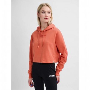 Hummel Legacy Cropped Hoodie Dam Aprikos | 441114-379