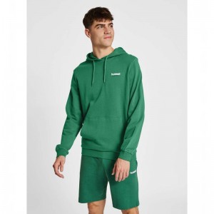 Hummel Lgc Gabe Hoodie Herr Gröna | 993711-774