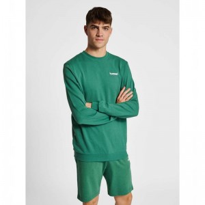 Hummel Lgc Gabe Tröjor Herr Gröna | 492676-714
