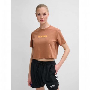 Hummel Lgc Malu Cropped T-shirt Dam Bruna | 218217-203