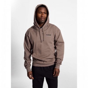 Hummel Lgc Nate Hoodie Herr Bruna | 045774-490