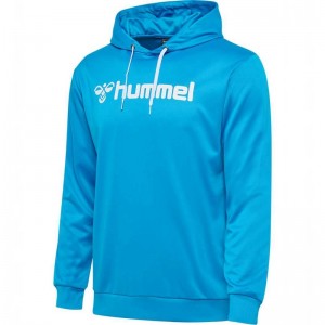 Hummel Logo Hoodie Herr Blå | 307954-841