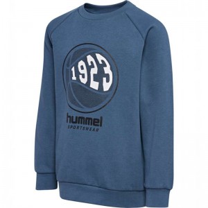 Hummel Loksi Tröjor Barn Blå | 262215-820