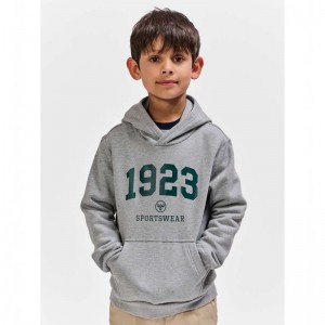 Hummel Nipps Hoodie Barn Grå | 748617-625