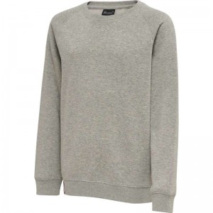 Hummel Red Classic Hoodie Barn Grå | 367247-936