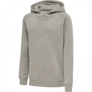 Hummel Red Classic Hoodie Barn Grå | 520805-138