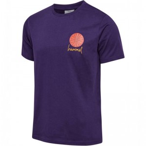 Hummel Regular Graphic S/S Tröjor Herr Lila | 503087-968