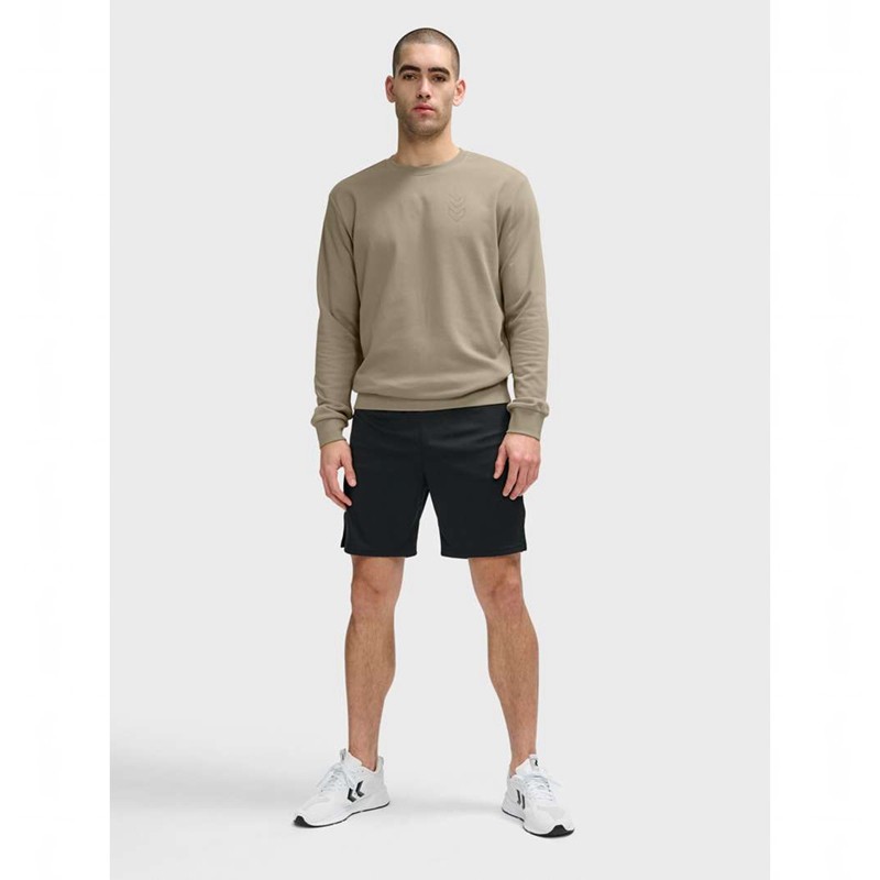 Hummel Active Tröjor Herr Beige | 411819-221