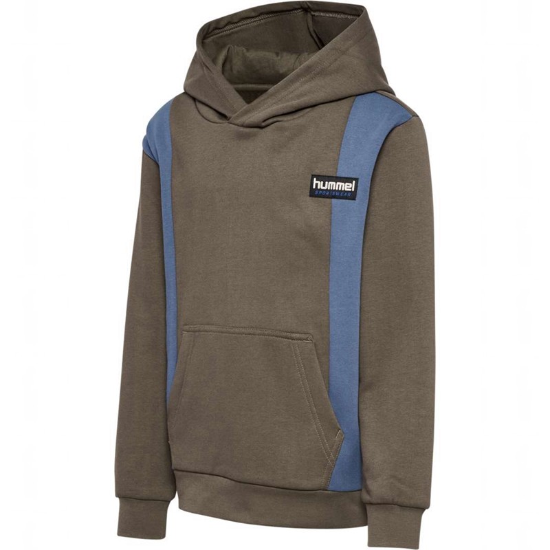 Hummel Allton Hoodie Barn Bruna | 730977-679