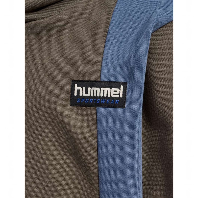 Hummel Allton Hoodie Barn Bruna | 730977-679