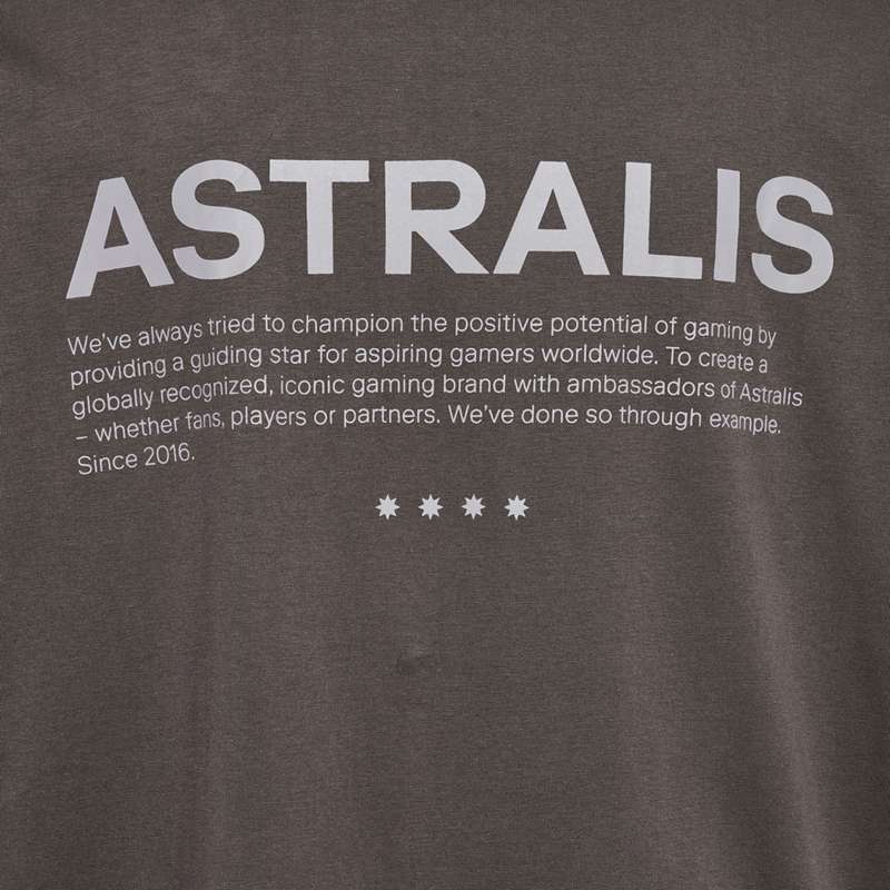 Hummel Astralis 24 Fan 2016 Loose Ls T-shirt Herr Choklad | 524429-734