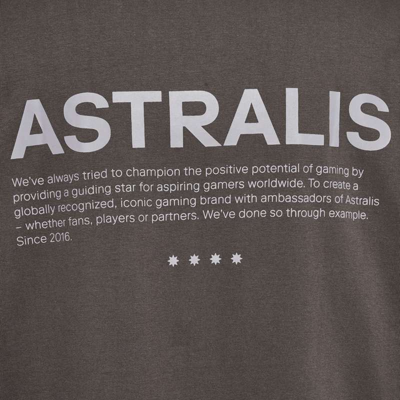 Hummel Astralis 24 Fan 2016 Loose Ss T-shirt Herr Choklad | 885490-653