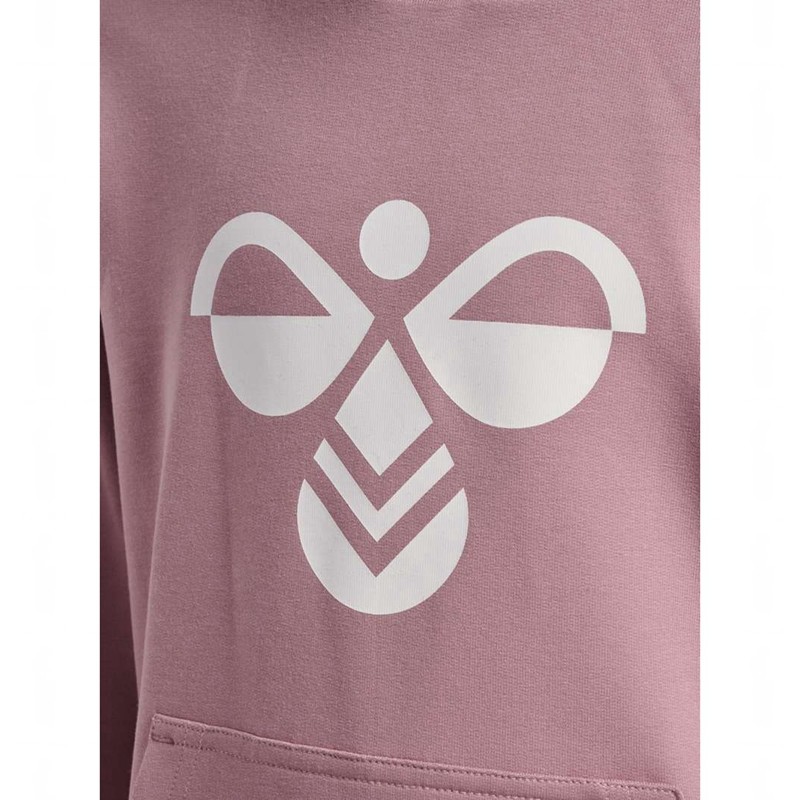 Hummel Cuatro Hoodie Barn Rosa | 166453-629