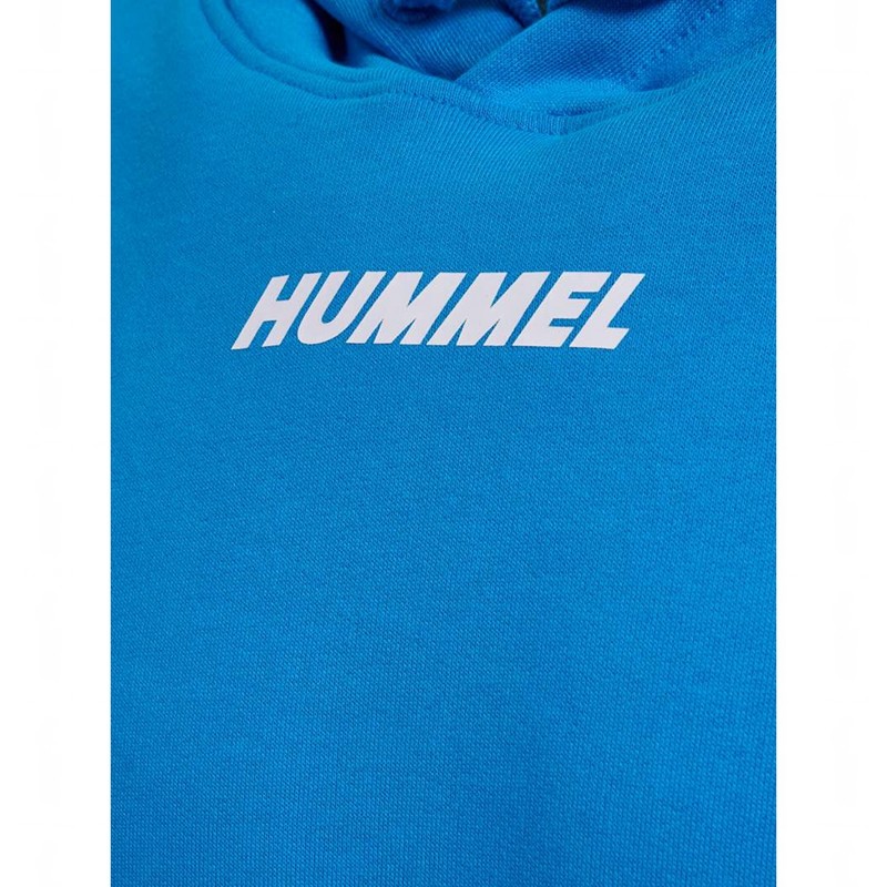 Hummel Elemental Hoodie Herr Blå | 135405-705