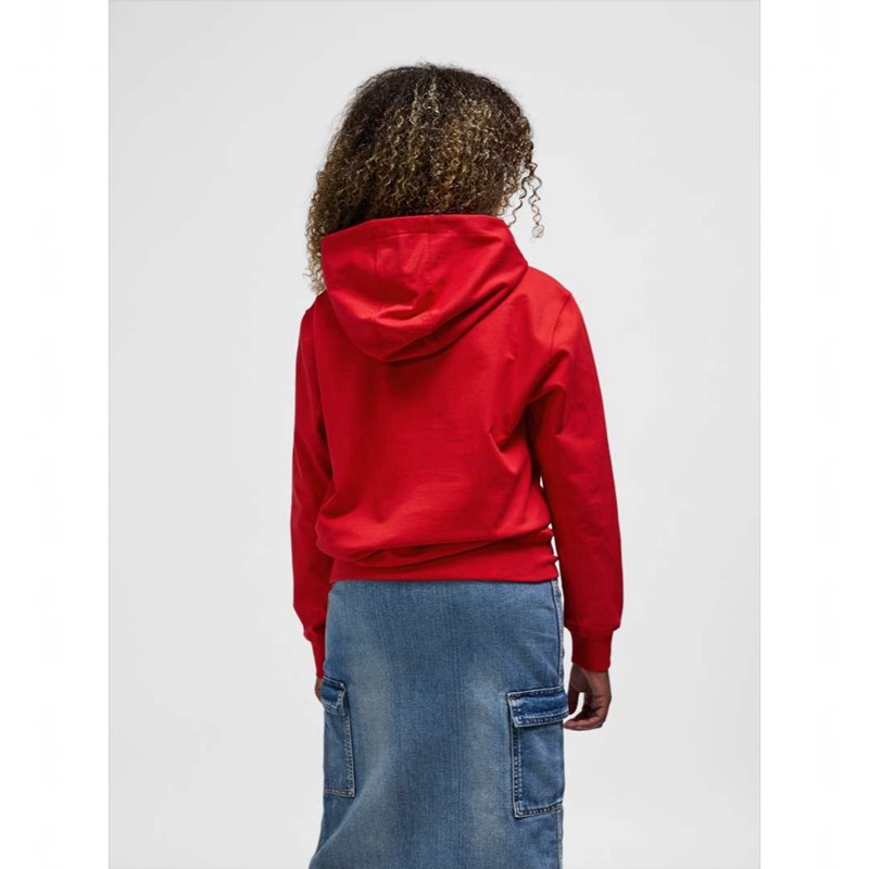 Hummel Go 2.0 Logo Hoodie Barn Röda | 858408-338