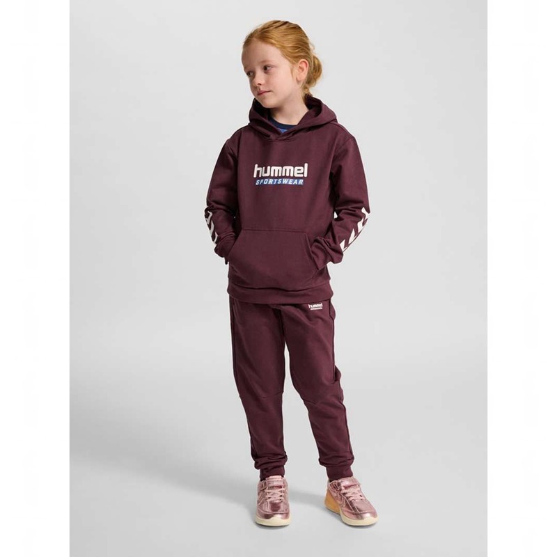 Hummel Jr Logo Hoodie Barn Vinröda | 759227-359