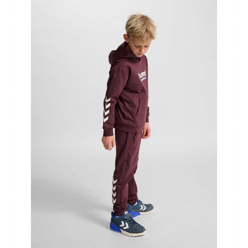 Hummel Jr Logo Hoodie Barn Vinröda | 759227-359