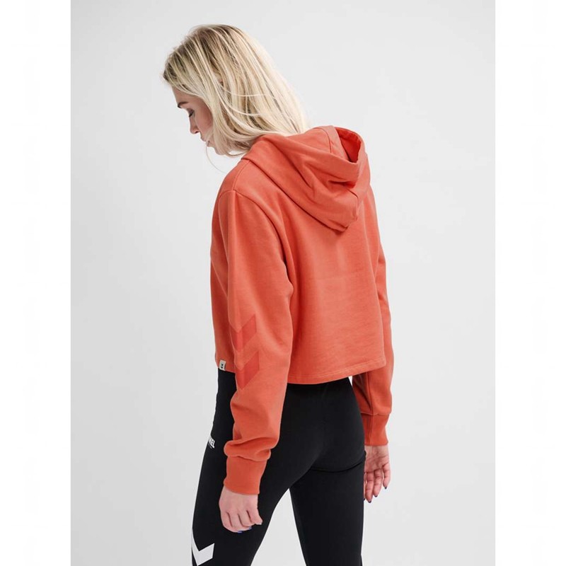 Hummel Legacy Cropped Hoodie Dam Aprikos | 441114-379