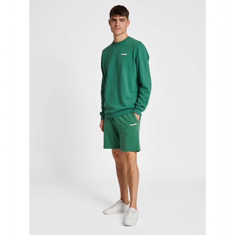 Hummel Lgc Gabe Tröjor Herr Gröna | 492676-714