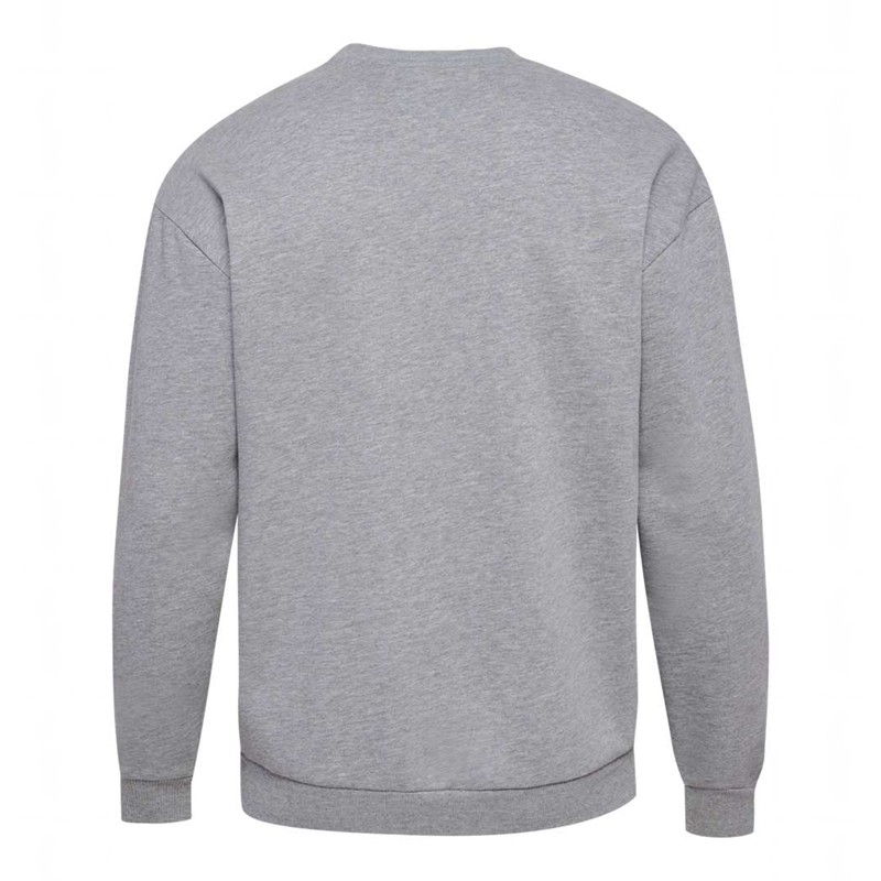 Hummel Loose Crewneck University Bee Tröjor Dam Grå | 215836-584